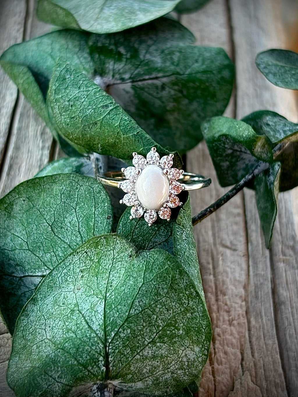 The Jill Ring