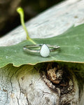 The “mini” Jacee Ring in 14K Gold