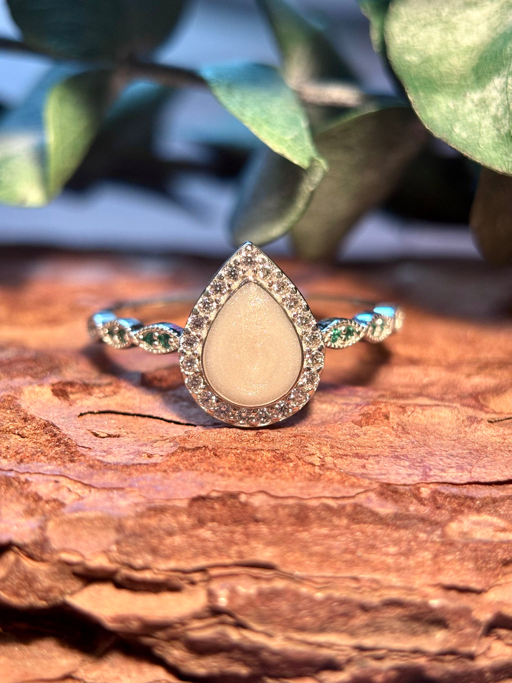 The Ari Ring