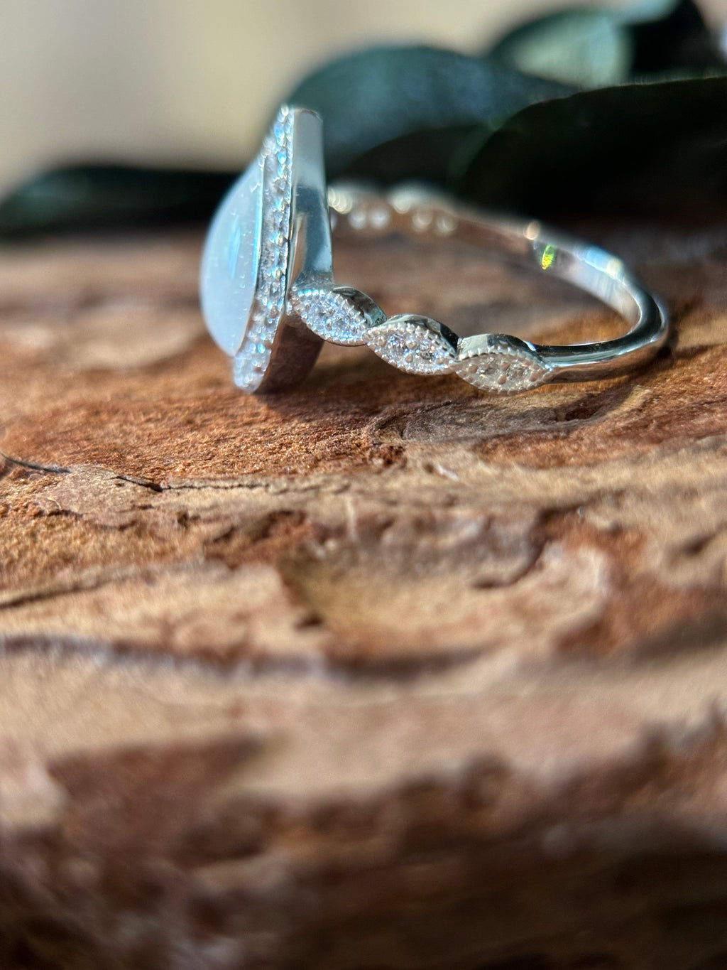 The Ari Ring