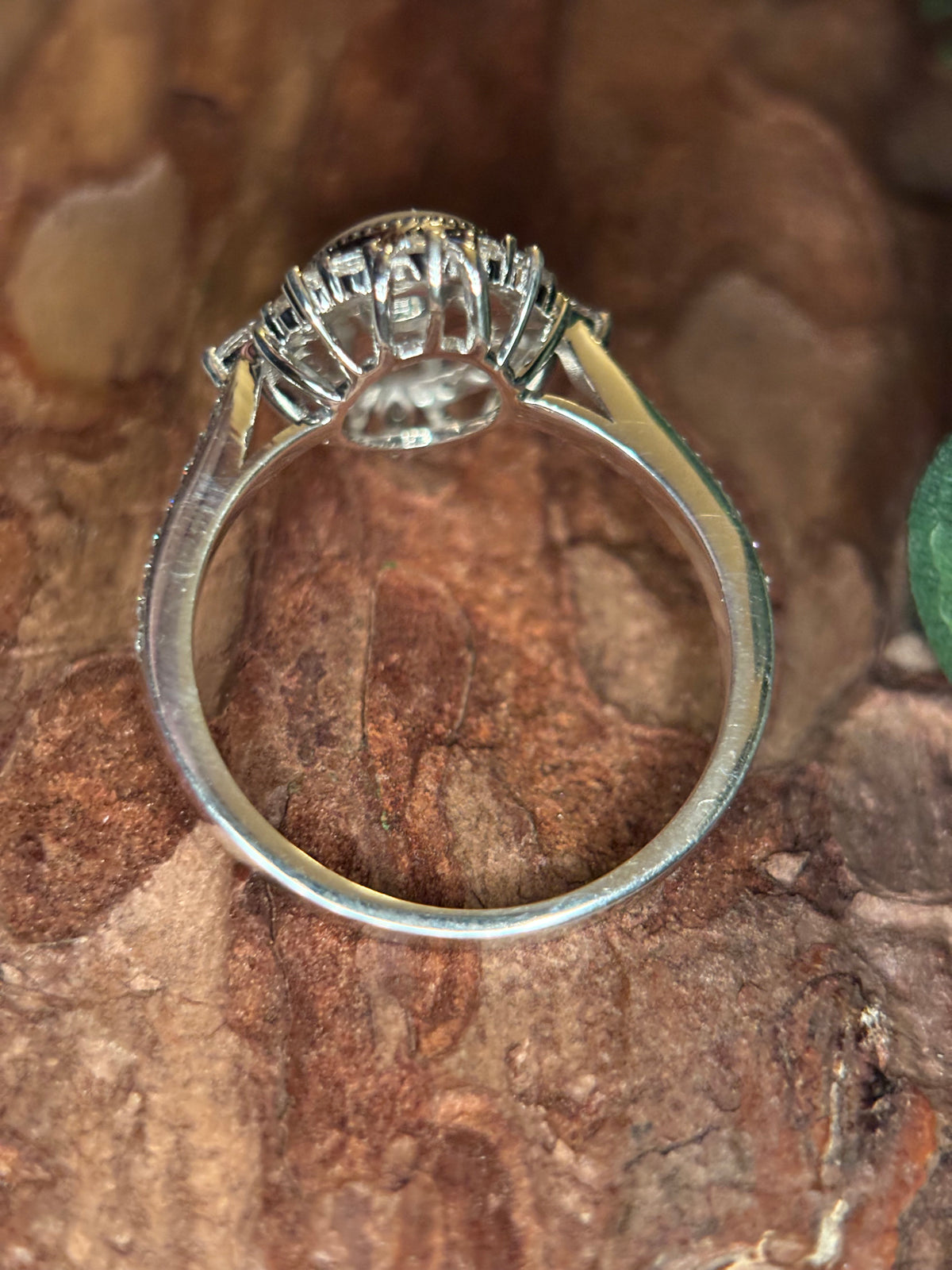 The Adriana Ring