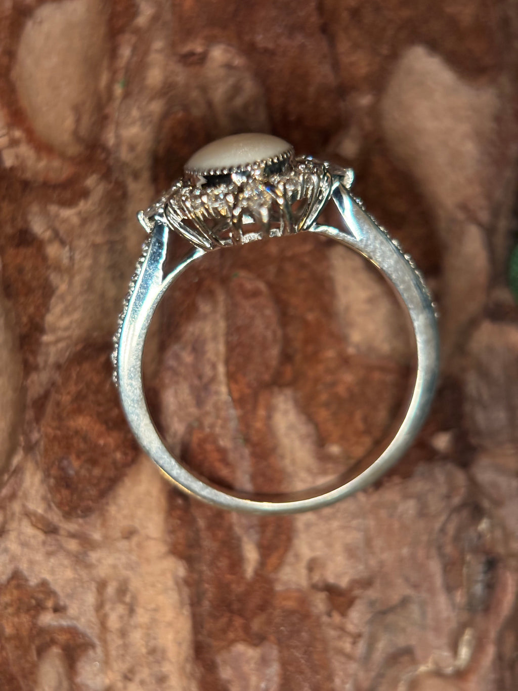 The Adriana Ring