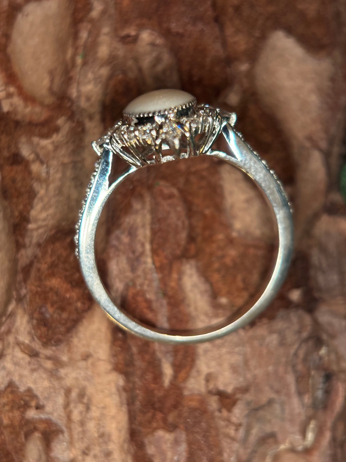 The Adriana Ring
