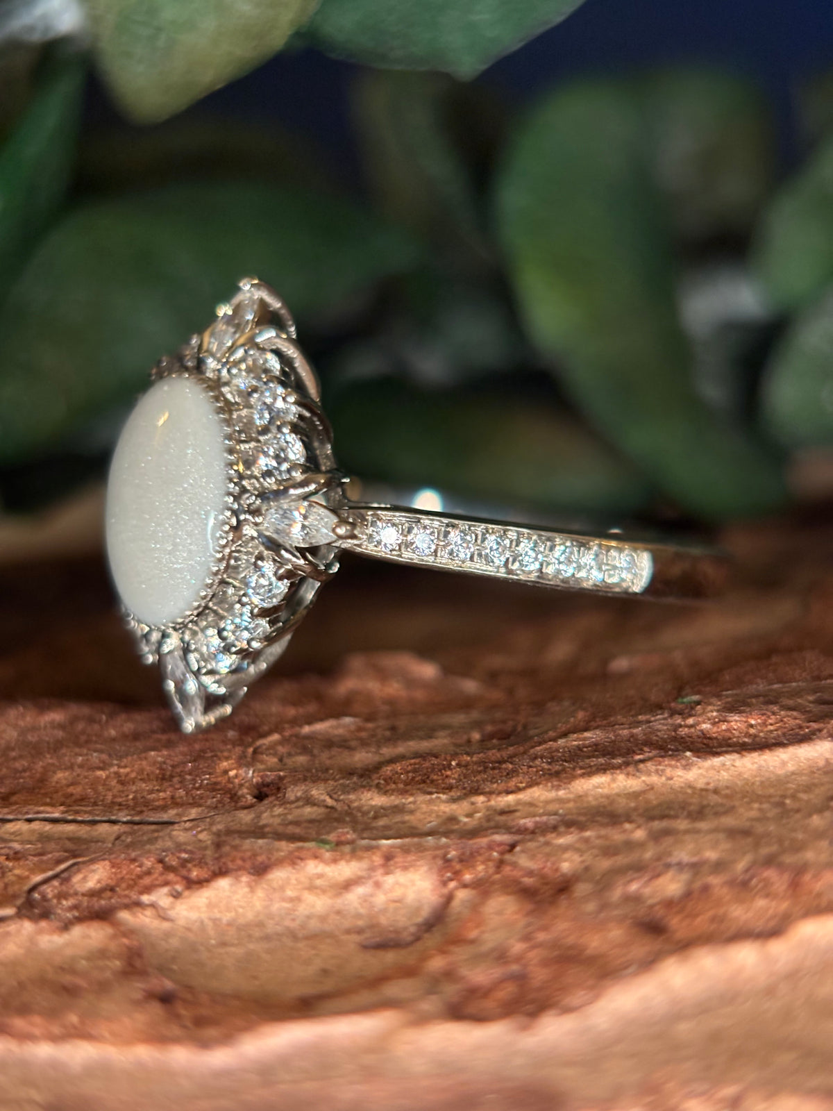 The Adriana Ring
