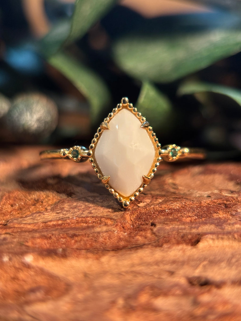 The Adri Ring in 14K Gold