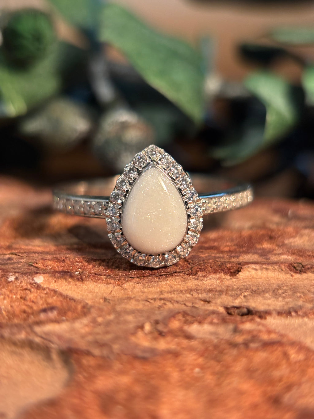 The Alexa Ring