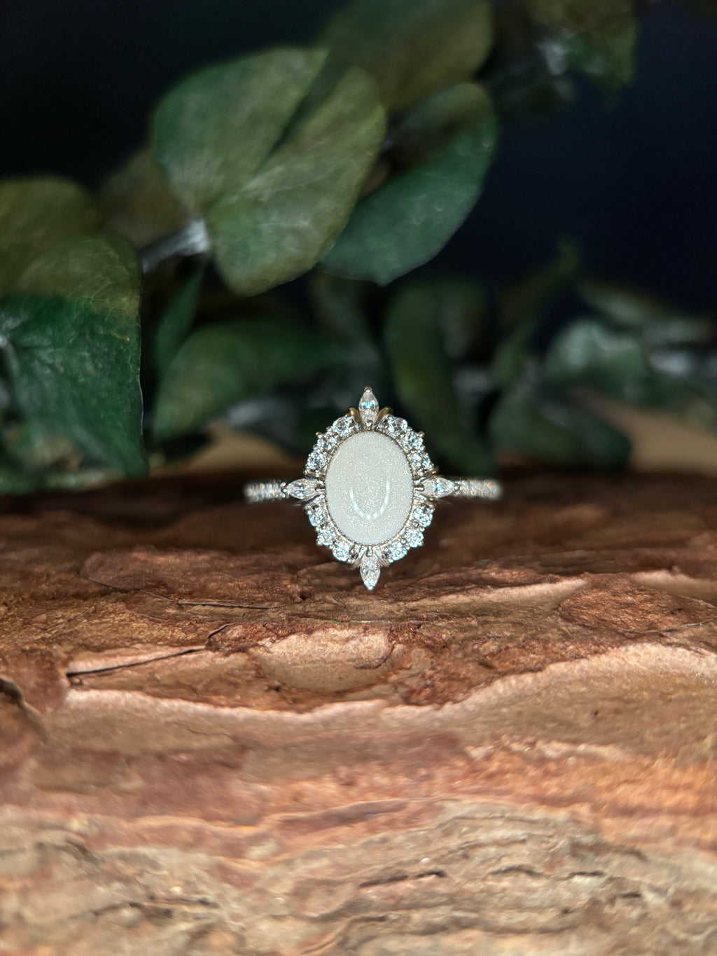 The Adriana Ring