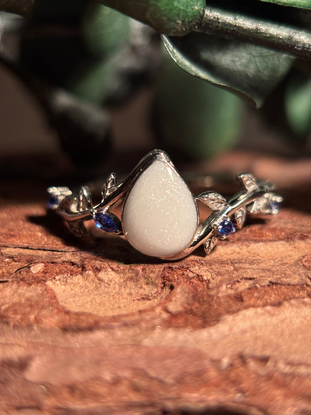 The Eva Ring